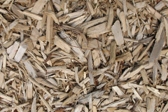 biomass boilers Throapham